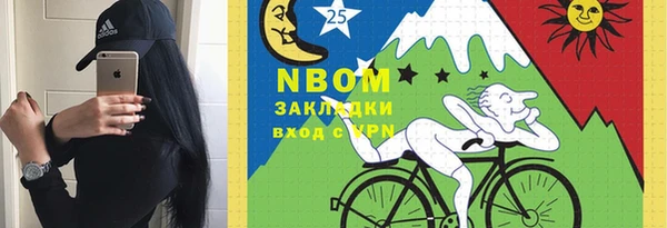 мдпв Михайлов