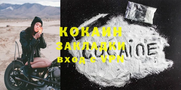 мдпв Михайлов