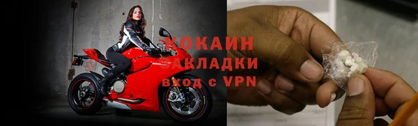 мдпв Михайлов