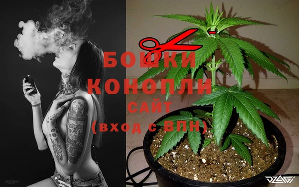 PSILOCYBIN Михайловск