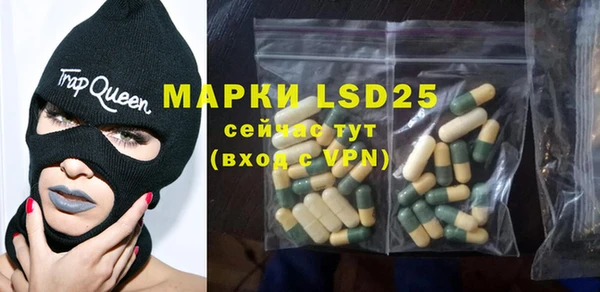 PSILOCYBIN Михайловск