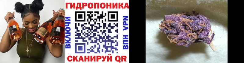 как найти   Армянск  Шишки марихуана SATIVA & INDICA 